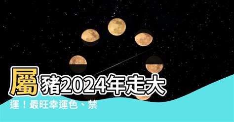 屬豬幸運色2024|【屬豬適合什麼顏色】屬豬者好運相隨！2024年最強幸運色解。